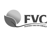 Logomarca Fazenda Vale do Curaçá